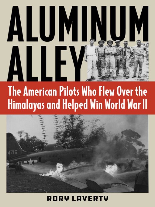Title details for Aluminum Alley by Rory Laverty - Available